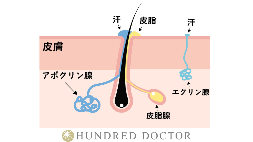 汗 におい 対策