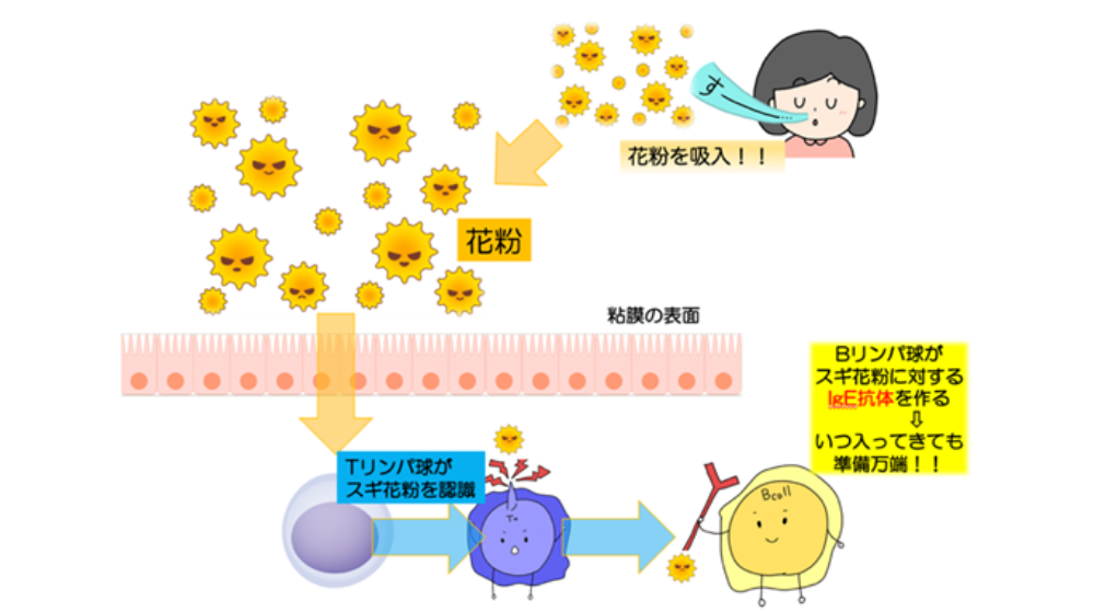 鼻詰まりの原因は？日常でできる解消方法や長引く場合の対処法を紹介