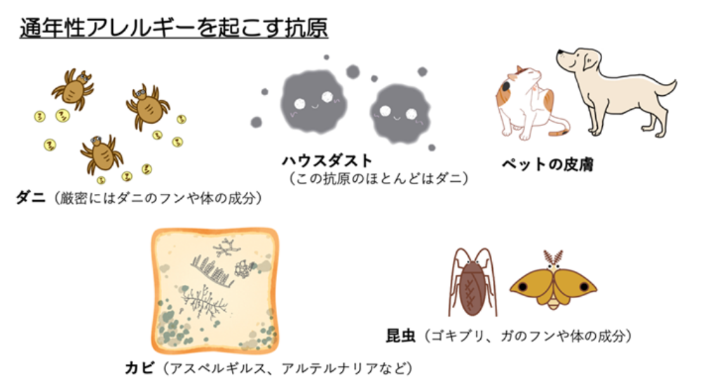 鼻詰まりの原因は？日常でできる解消方法や長引く場合の対処法を紹介