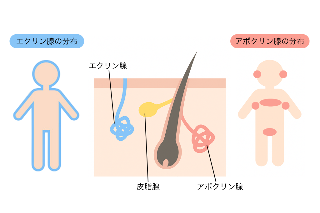 脇 汗 黄ばみ
