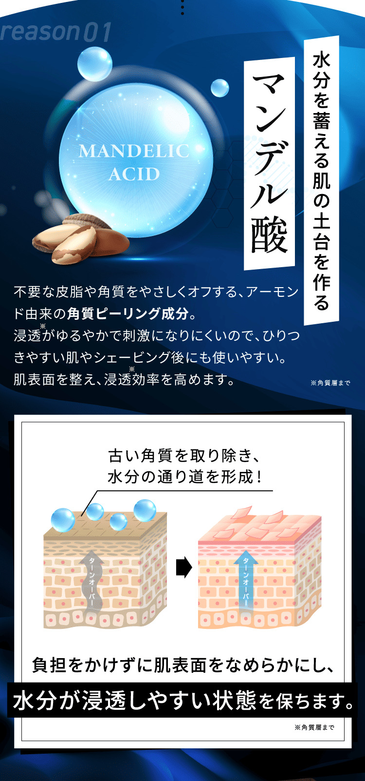 REASON01 水分を蓄える肌の土台を作るマンデル酸 不要な皮脂や角質をやさしくオフする、アーモンド由来の角質ピーリング成分。 負担をかけずに肌表面をなめらかにし、水分が浸透しやすい状態を保ちます。