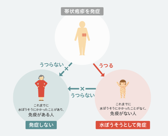 帯状疱疹からの感染の図 水ぼうそうの免疫がない人には水ぼうそうとしてうつり、免疫がある人にはうつらない
